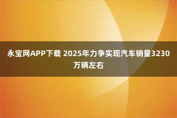 永宝网APP下载 2025年力争实现汽车销量3230万辆左右