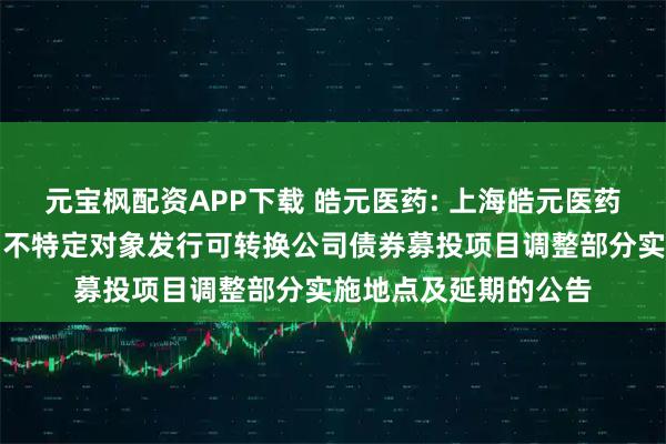 元宝枫配资APP下载 皓元医药: 上海皓元医药股份有限公司关于向不特定对象发行可转换公司债券募投项目调整部分实施地点及延期的公告